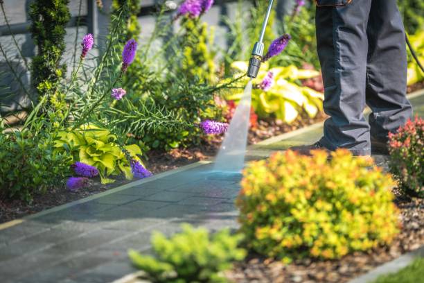 Best Concrete Surface Cleaning in Three Rivers, TX